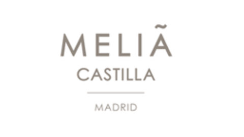 HOTEL MELIÁ CASTILLA